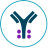 Conjugated Antibodies
