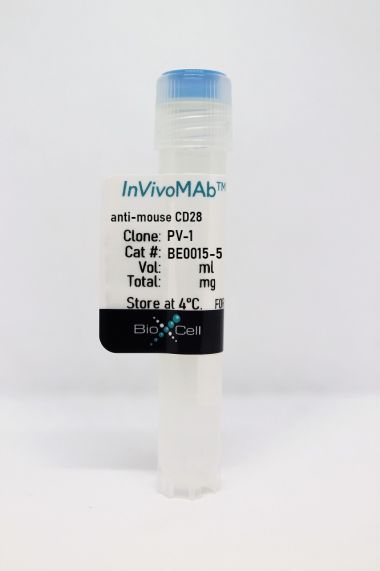 InVivoMAb anti-mouse CD28