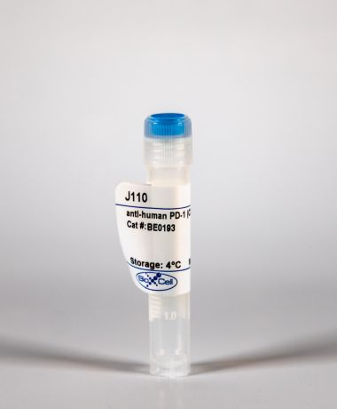 InVivoPlus anti-mouse PD-1 (CD279, Clone: J43) | Bio X Cell InVivoPlus anti-mouse PD-1 (CD279, Clone: J43) | Bio X Cell